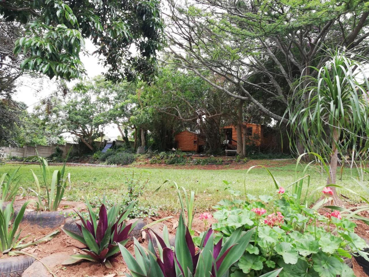 Beach Wood Cottages Shelly Beach Buitenkant foto