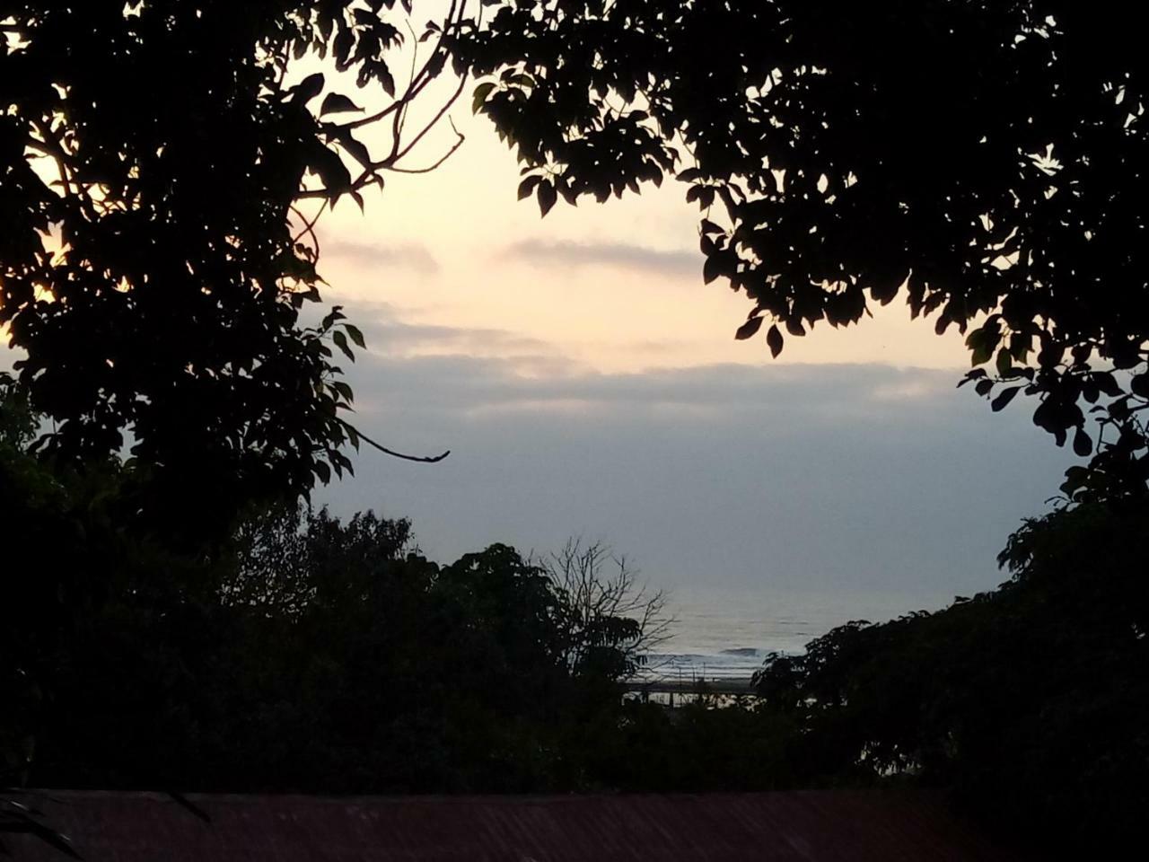 Beach Wood Cottages Shelly Beach Buitenkant foto