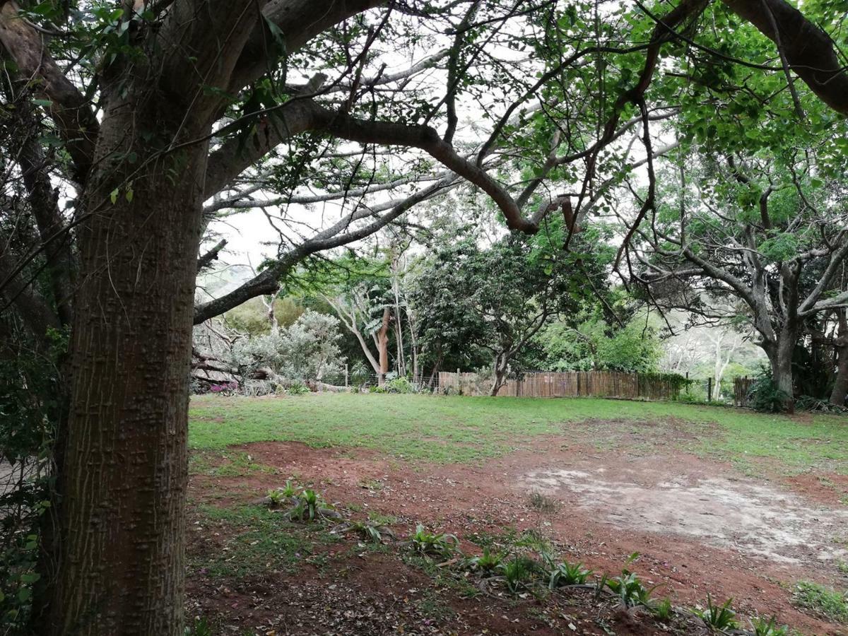 Beach Wood Cottages Shelly Beach Buitenkant foto