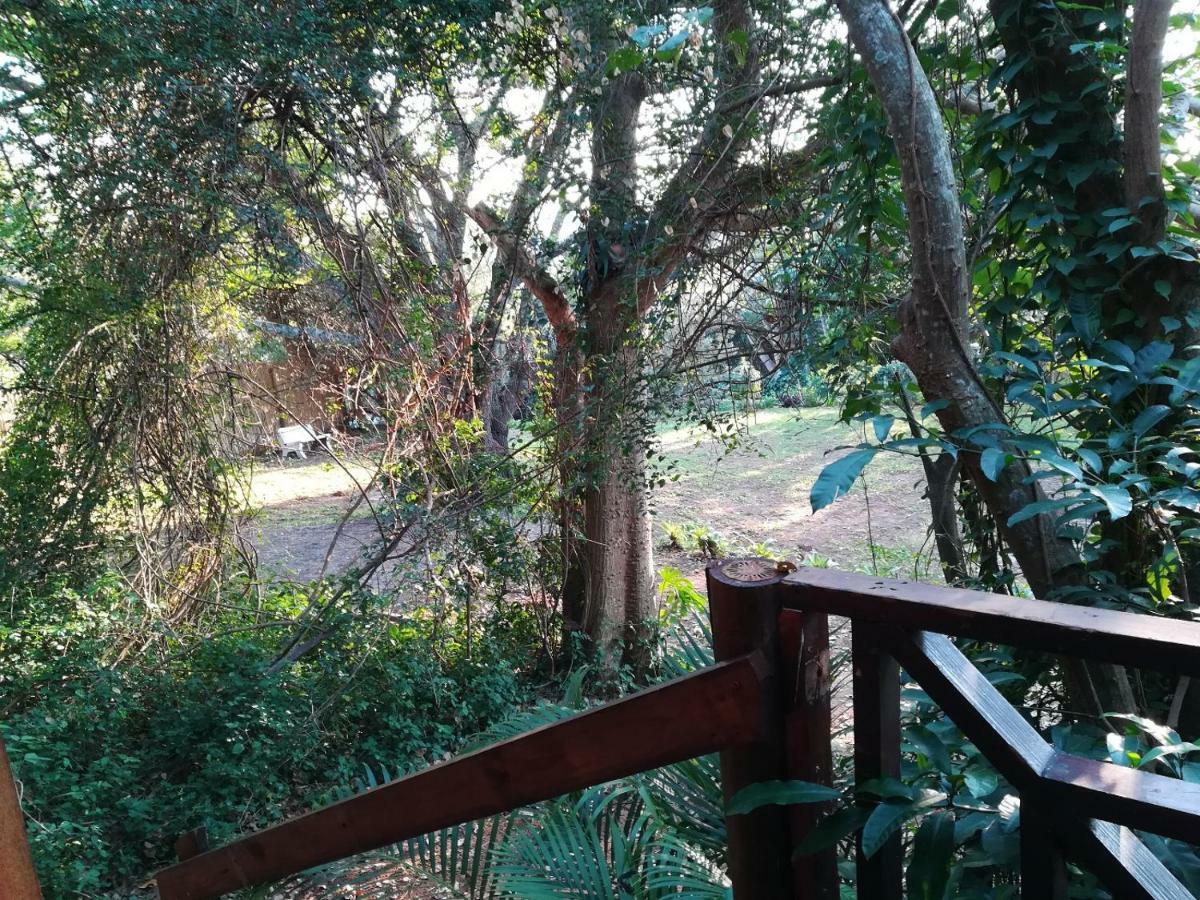 Beach Wood Cottages Shelly Beach Buitenkant foto